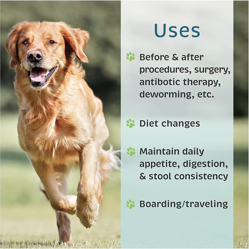 OEM/ODM Pet Health Care & Supplement Probiotics Powder for Dogs and Cats Support Gut & Immune System Health