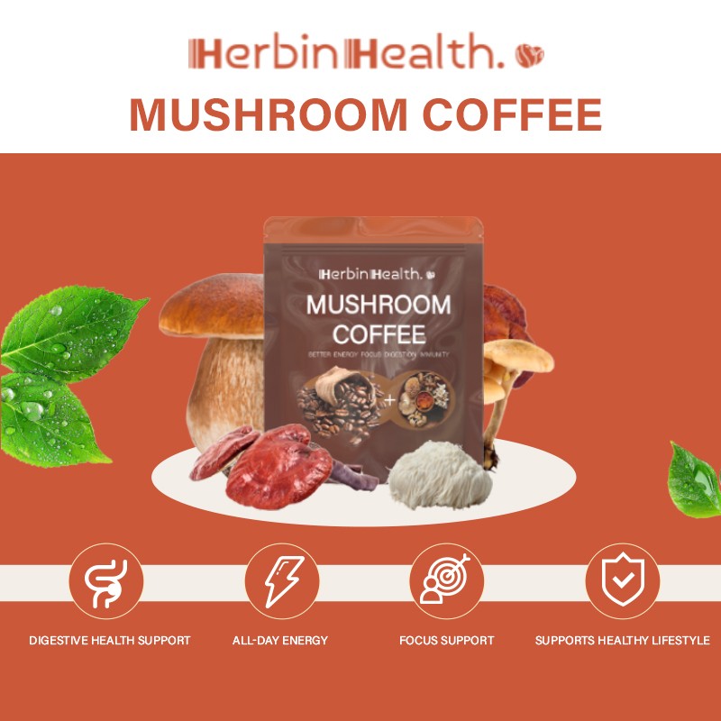 Wholesale Private Label Turkey Tail Lions Mane Powder Mushroom  Coffee Powder