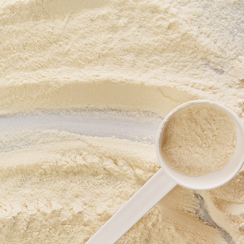 Hot Selling Dietary Supplement  Bovine Colostrum  Protein Powder  Promote Metabolism Improve Sleep Quality