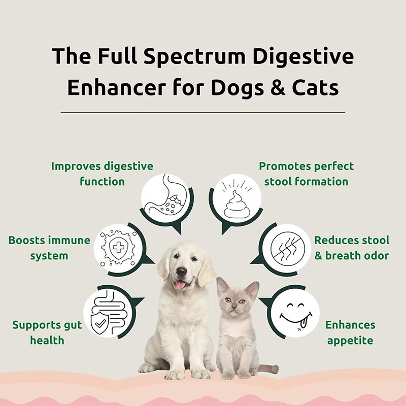 OEM/ODM Pet Health Care & Supplement Probiotics Powder for Dogs and Cats Support Gut & Immune System Health