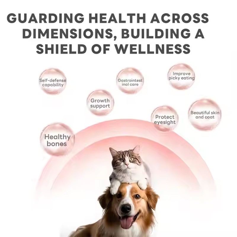 OEM/ODM Pet Health Care & Supplement Probiotics Powder for Dogs and Cats Support Gut & Immune System Health