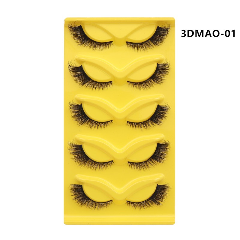 False Eyelashes Supplier - New Private Label Custom Logo Luxury Long Natural
