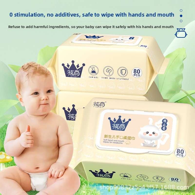 Wet Wipes Supplier - Wholesale Organic Non-Woven Qishang 150x200mm Large Pack