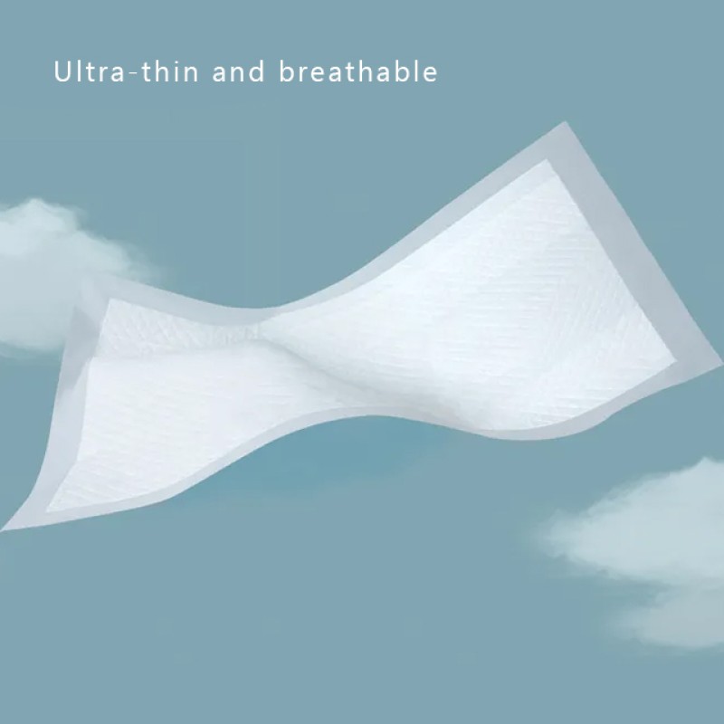 Dog Pee Pads Manufacturer - Biodegradable Super Absorbent Training Pet Pee