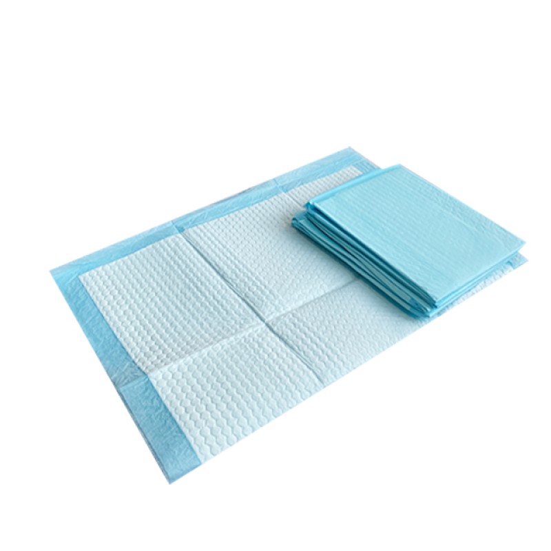 Dog Pee Pads Manufacturer - Biodegradable Super Absorbent Training Pet Pee