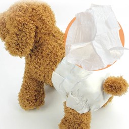 Dog Diaper Manufacturer - OEM ODM Eco Friendly Disposable Bamboo Biodegradable