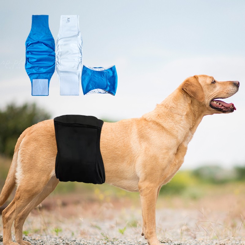 Dog Diaper Factory - OEM Washable Waterproof Reusable Male Belly Bands