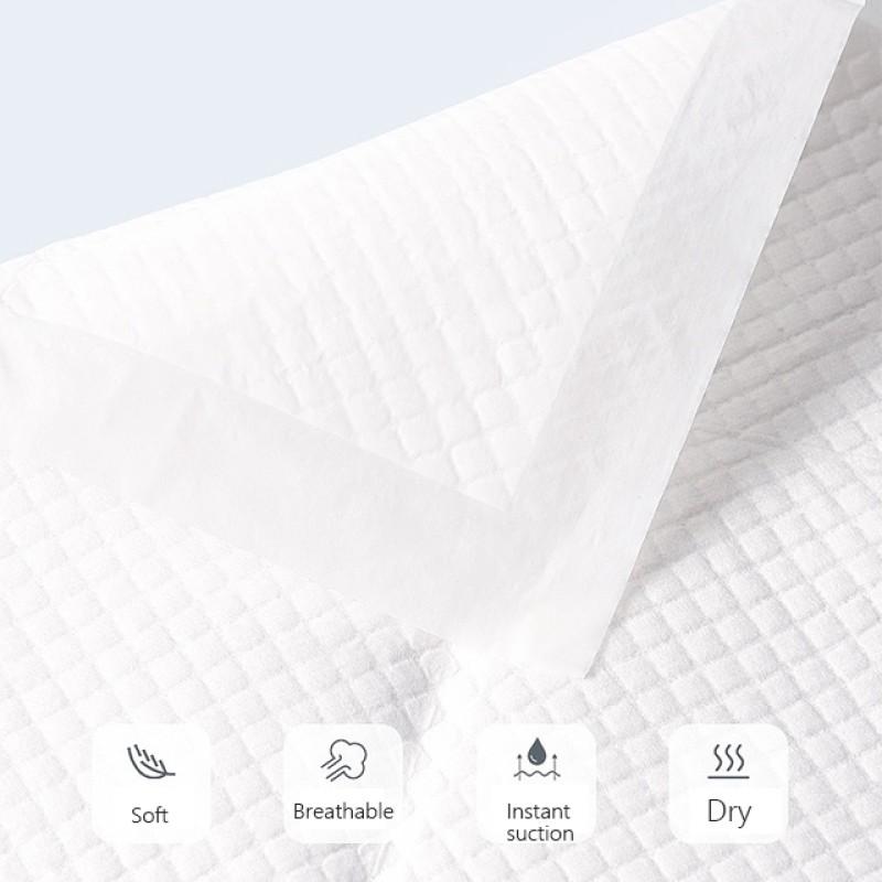 Dog Pee Pads Manufacturer - Biodegradable Super Absorbent Training Pet Pee