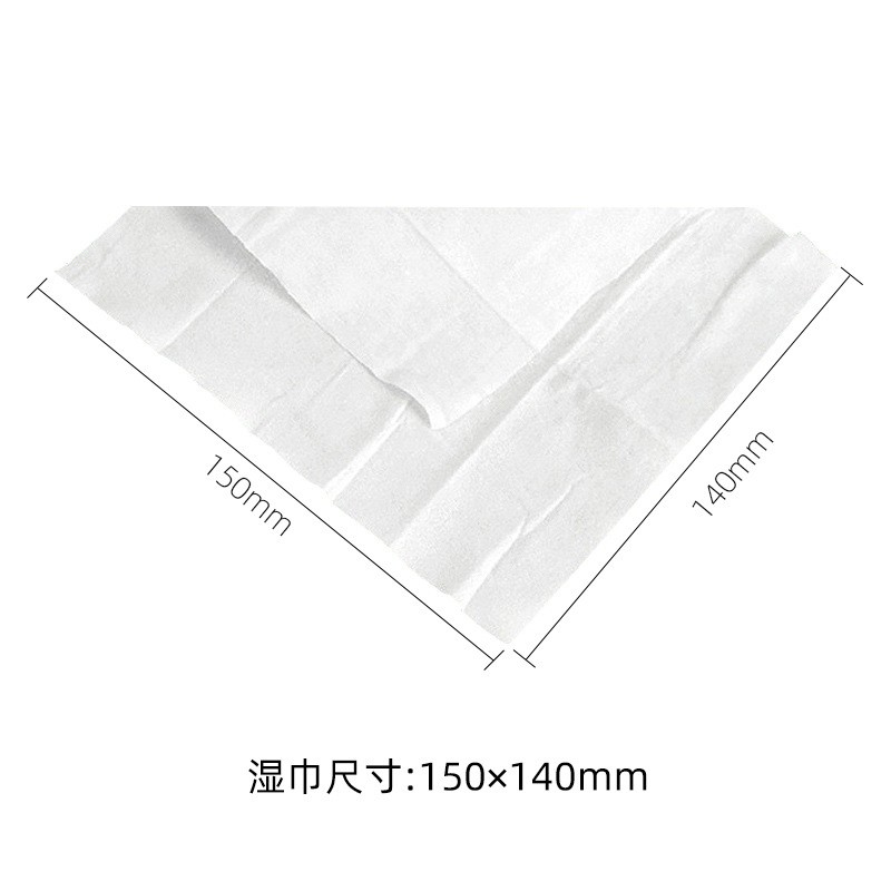 Wet Wipes Factory - 10 Pack Extraction Type Small Bag Disposable