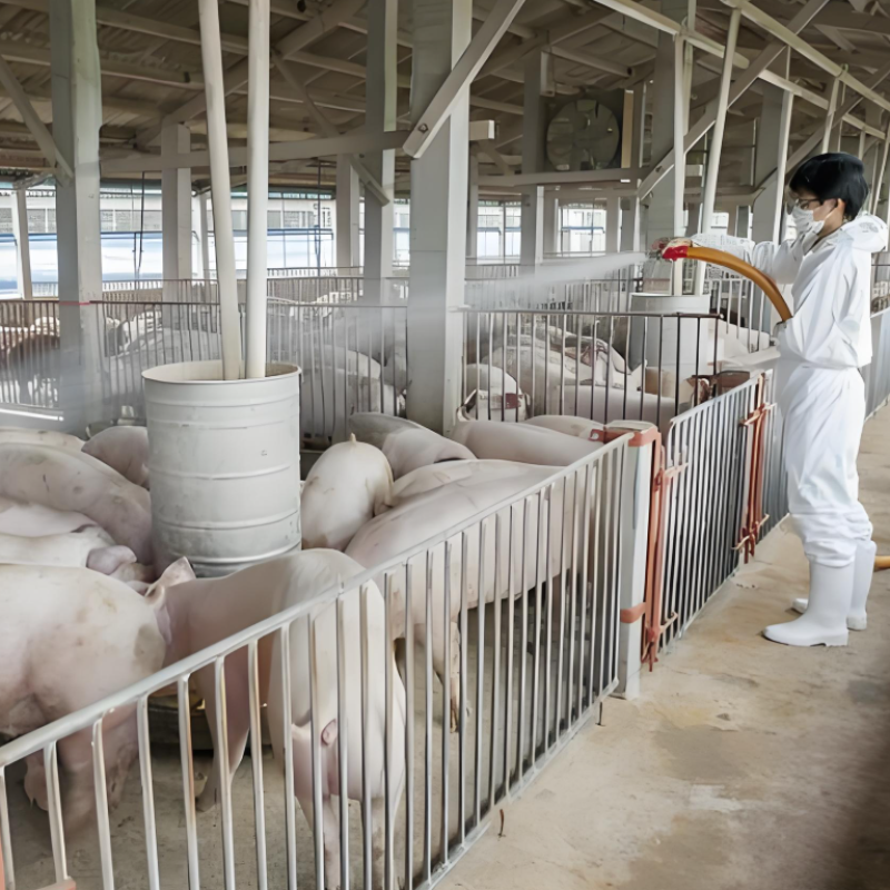 50% Potassium Monopersulfate Compound Powder for Chicken and Pigs Disinfection Breeding