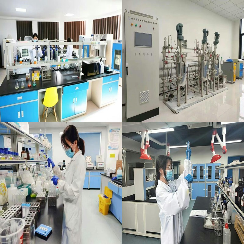 Large Stocks Vitamin C Supplements Bulk High Pure  Ascorbic Acid Vitamin C Powder CAS 50-81-7