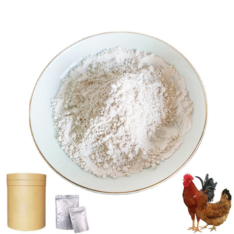 CAS#539-86-6 Factory Direct Supply Poultry Feed Additives 25% Garlic Extract Powder for Layer and Broiler Feed Grade Allicin