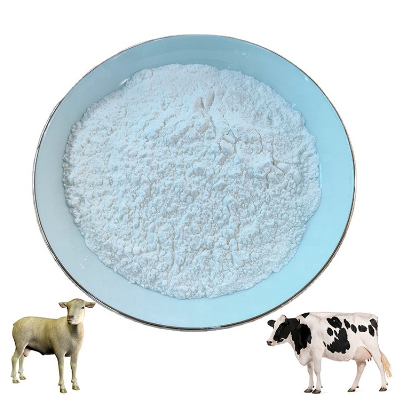 Factory Directly Supply Livestock Feed Additives 95% Bile Acid for Pig,horse,cattle,goat to Promote Nutrition Bile Acid