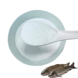 Factory Direct Supply 99% Vitamin C Powder Feed Additive for Aquatic Animals Fish Shrimp Crab High Quality for Fish Aquatic Life