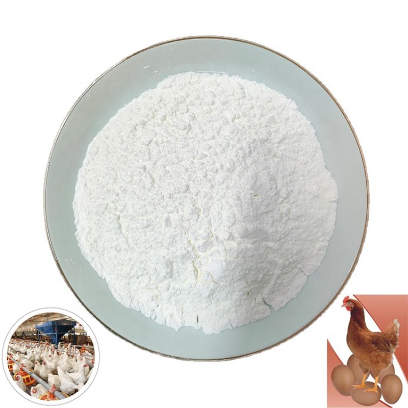 Factory Direct Supply 30% Bile Acid Poultry Feed Additives for Layer Broiler Improved Fat Digestibility