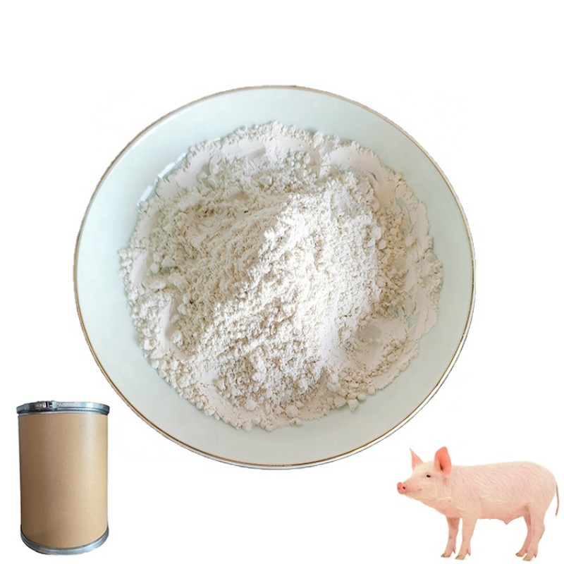 Factory Direct Supply 10% Garlicin Powder Premium Livestock Feed Additive for Pighorses & Cattle Feed Grade Allicin