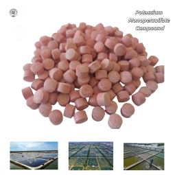 Manufacturer 50% Potassium Monopersulfate Tablets Fish Farm for Disinfection Algae Control Disease Prevention