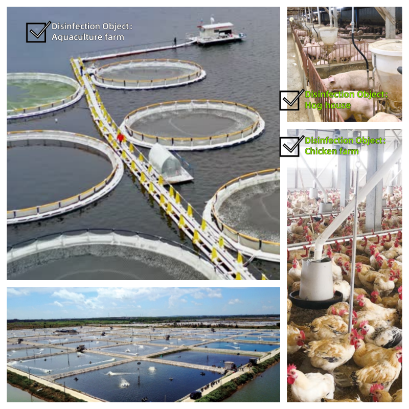 Aquatic and Livestock Farming Feed Additives Potassium Hydrogen Monopersulfate with CAS No 70693-62-8