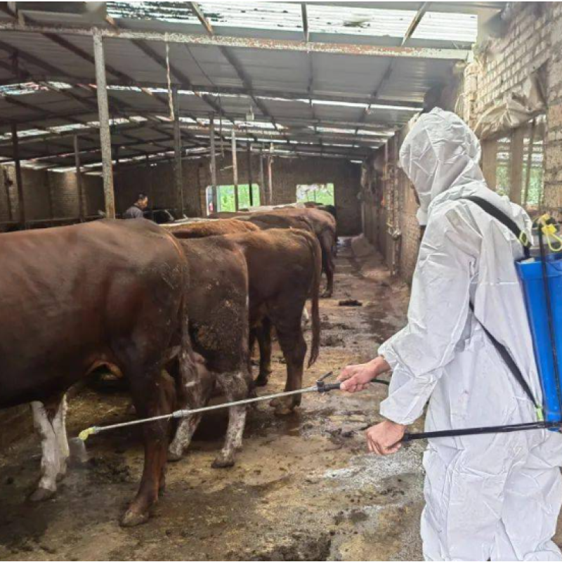 High-Efficiency 50% Potassium Monopersulfate Compound for Poultry and Livestock Disinfection Breeding