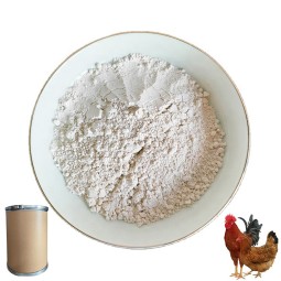 CAS#539-86-6 High Quality 10% Garlicin Powder for Poultry Layer Hen Garlicin Poultry Feed Additive Feed Grade Allicin