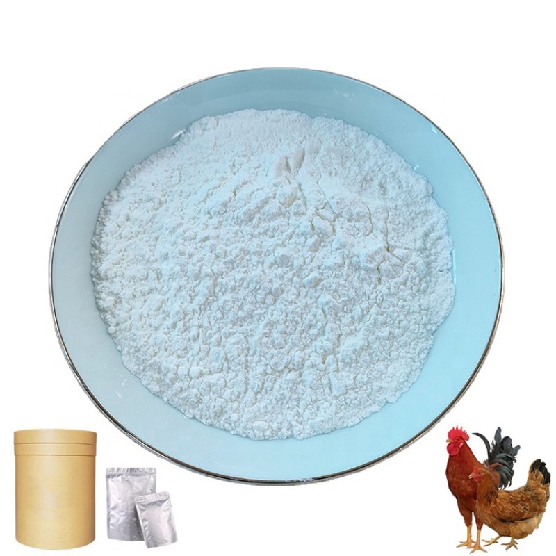 Wholesale 40% Bile Acids Poultry Feed Additives Improving Feed Conversion for Layer & Broiler Birds