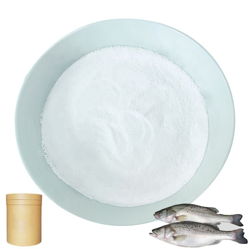 Factory Direct Supply 99% Vitamin C Powder Feed Additive for Aquatic Animals Fish Shrimp Crab High Quality for Fish Aquatic Life