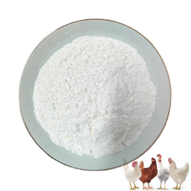 Wholesale Poultry Feed Additive Animals Feed Additive 30% Bile Acid Powder for Poultry Layer and Broiler Bile Acid