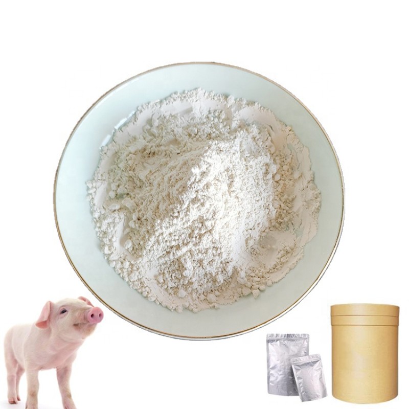 Factory Direct Supply 10% Garlicin Powder Premium Livestock Feed Additive for Pighorses & Cattle Feed Grade Allicin