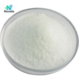 Citric Acid Powder Manufacturer - Food Grade Anhydrous Sour Agent Direct Sale