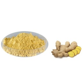 Gingerol Extract Factory - 5% Chinese Gingerol Oil White Ginger Custom