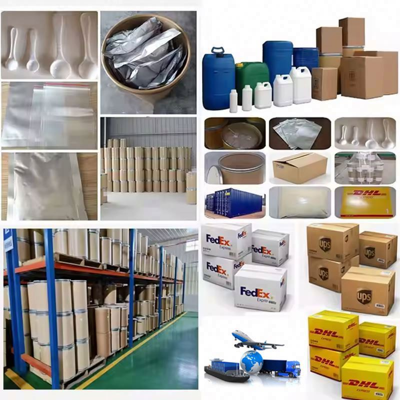 Chondroitin Sulfate Sodium Powder - Nutrition Supplement Raw Material OEM