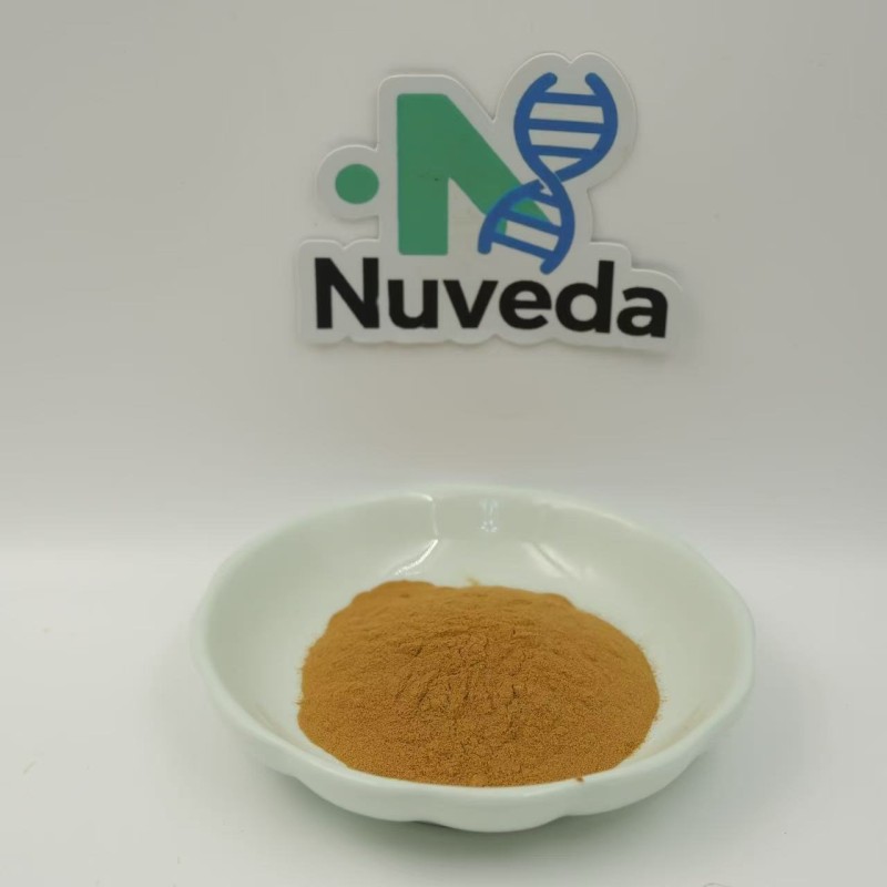 Bacopa Extract Powder Supplier - 50% Bacopasides GMP Standard Easy Absorb