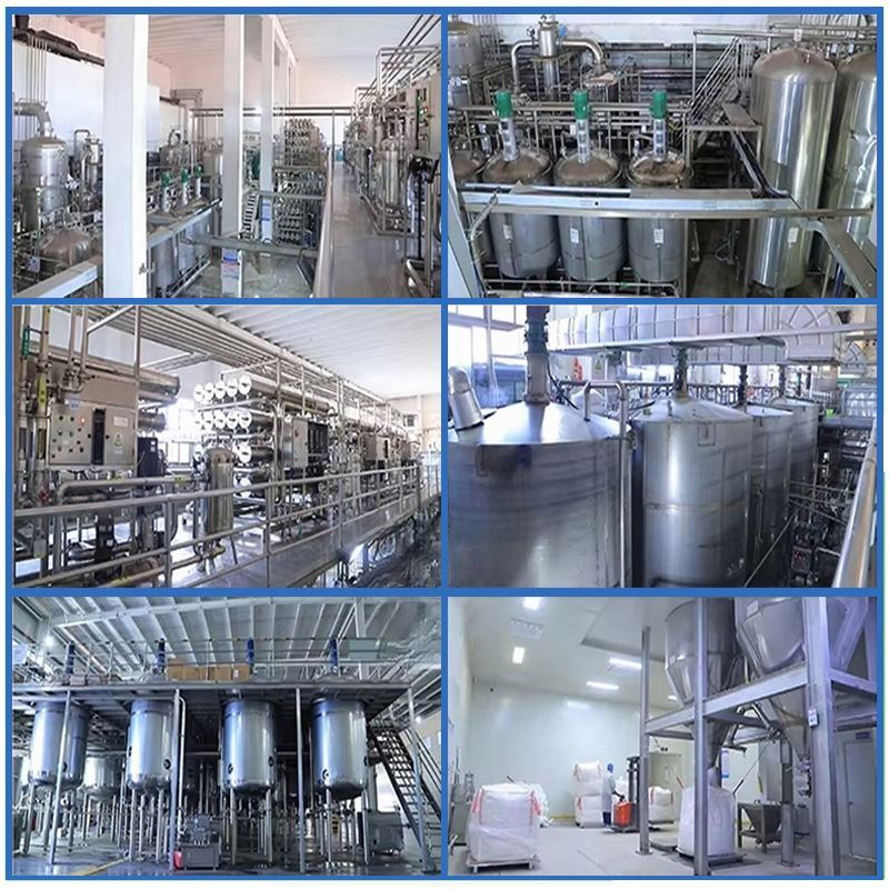 Scutellaria Baicalensis Extract Factory - 98% Baicalin CAS 21967-41-9 OEM