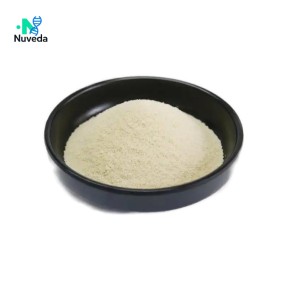 Chondroitin Sulfate Sodium Powder - Nutrition Supplement Raw Material OEM