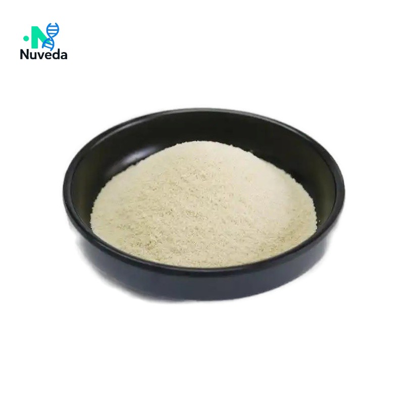 Chondroitin Sulfate Sodium Powder - Nutrition Supplement Raw Material OEM