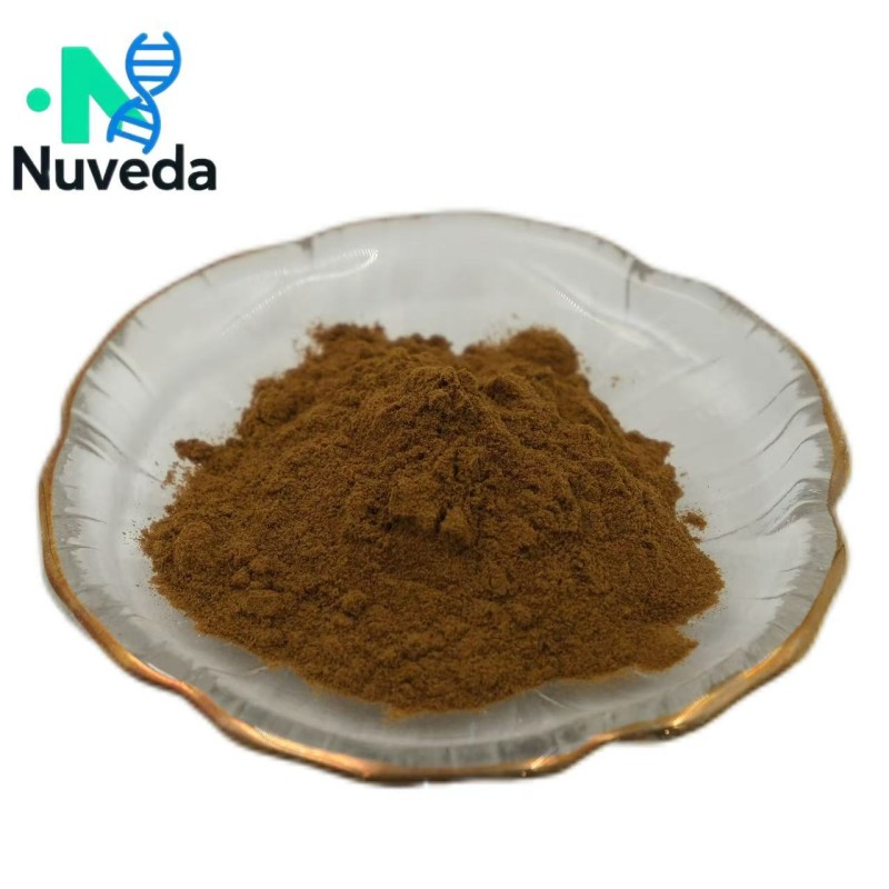 Alisma Extract Powder Supplier - Wild Rhizoma Alismatis 10:1 Polypeptide