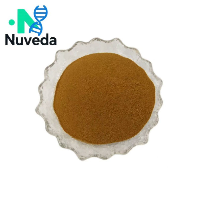 Kigelia Africana Powder Supplier - Natural Fruit Extract Bulk Custom Formula