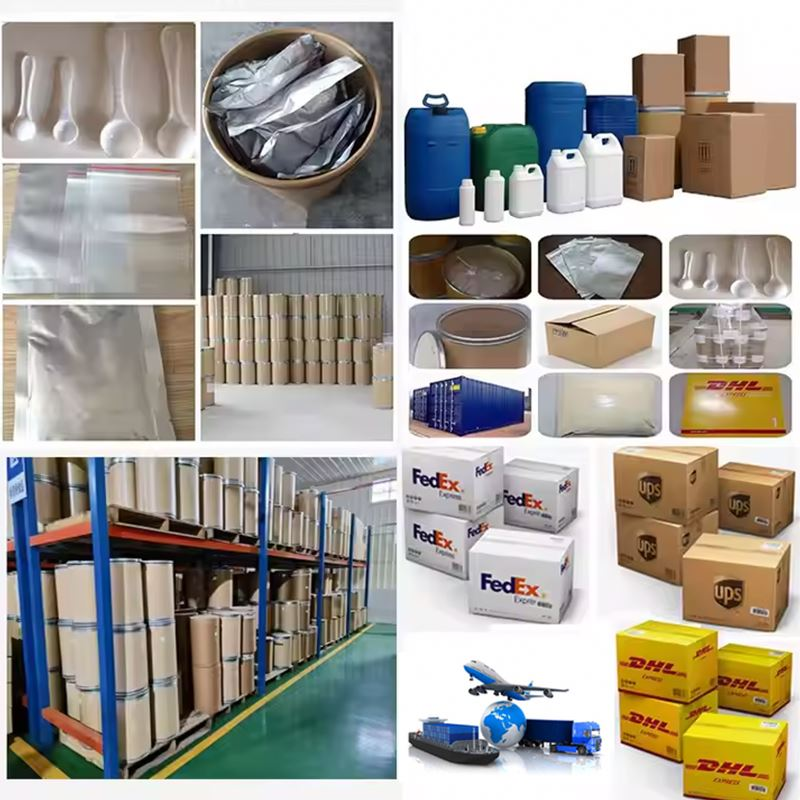 Skullcap Root Extract Powder - Radix Scutellariae Bulk Supplier OEM