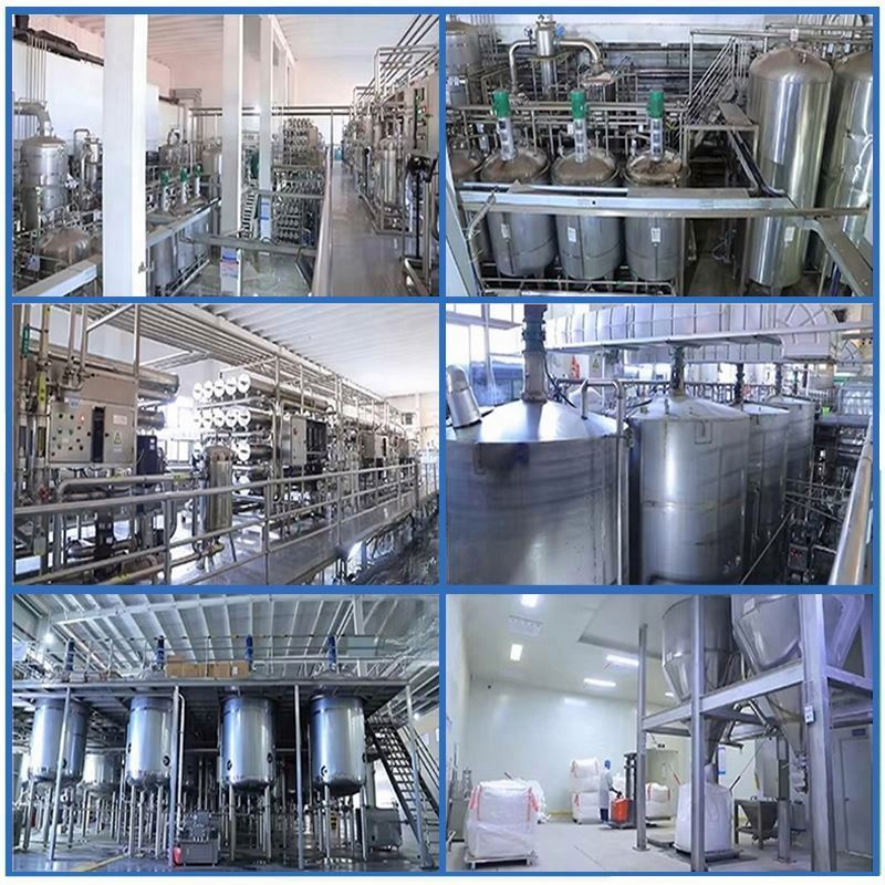 Chondroitin Sulfate Powder Manufacturer - 99% Pure Food Grade Custom Service