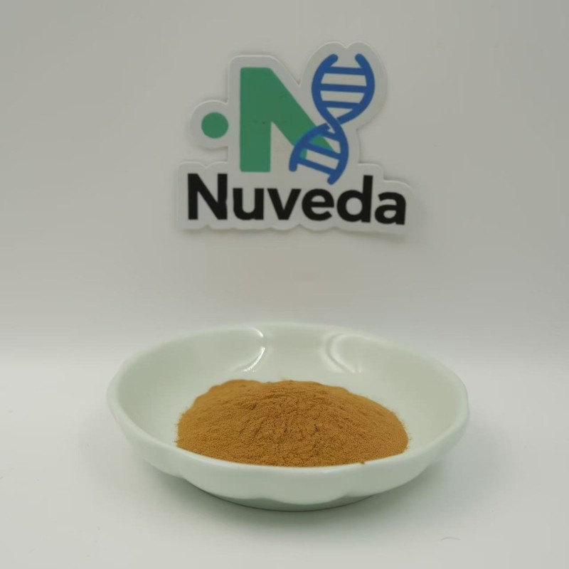 Bacopa Extract Powder Supplier - 50% Bacopasides GMP Standard Easy Absorb