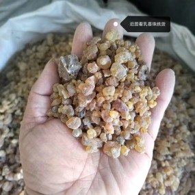 Frankincense Manufacturer - Natural Tears Grade Supplier