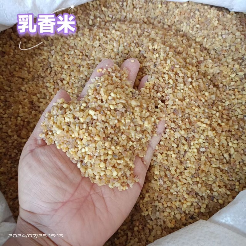 Frankincense Manufacturer - Natural Tears Grade Supplier