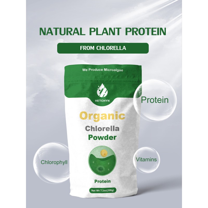 Chlorella Vulgaris Extract Factory - Organic Protein Vitamin Chlorophy
