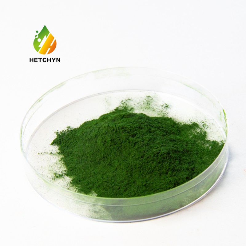 Chlorella Vulgaris Extract Factory - Organic Protein Vitamin Chlorophy