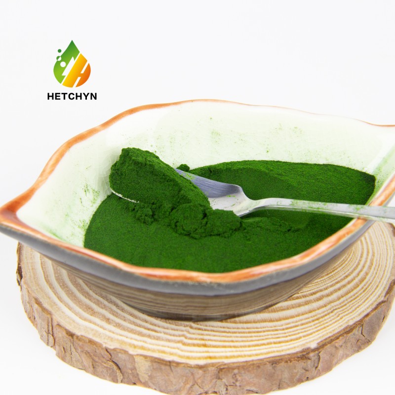 Chlorella Vulgaris Extract Factory - Organic Protein Vitamin Chlorophy