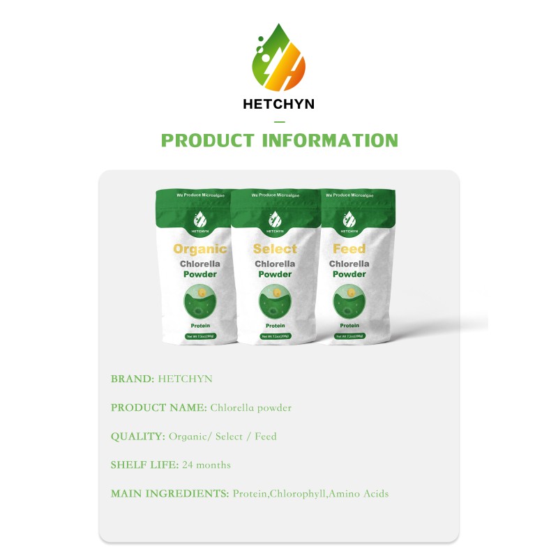 Chlorella Vulgaris Extract Factory - Organic Protein Vitamin Chlorophy