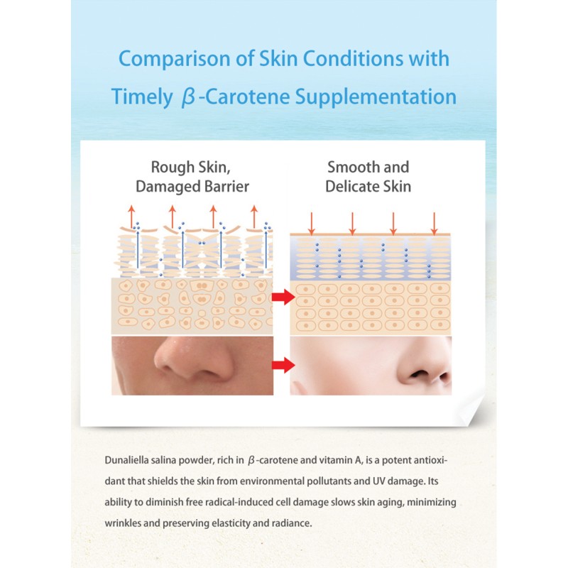 Beta Carotene Oil Supplier - 10% Organic Dunaliella SFE Co2 Extract