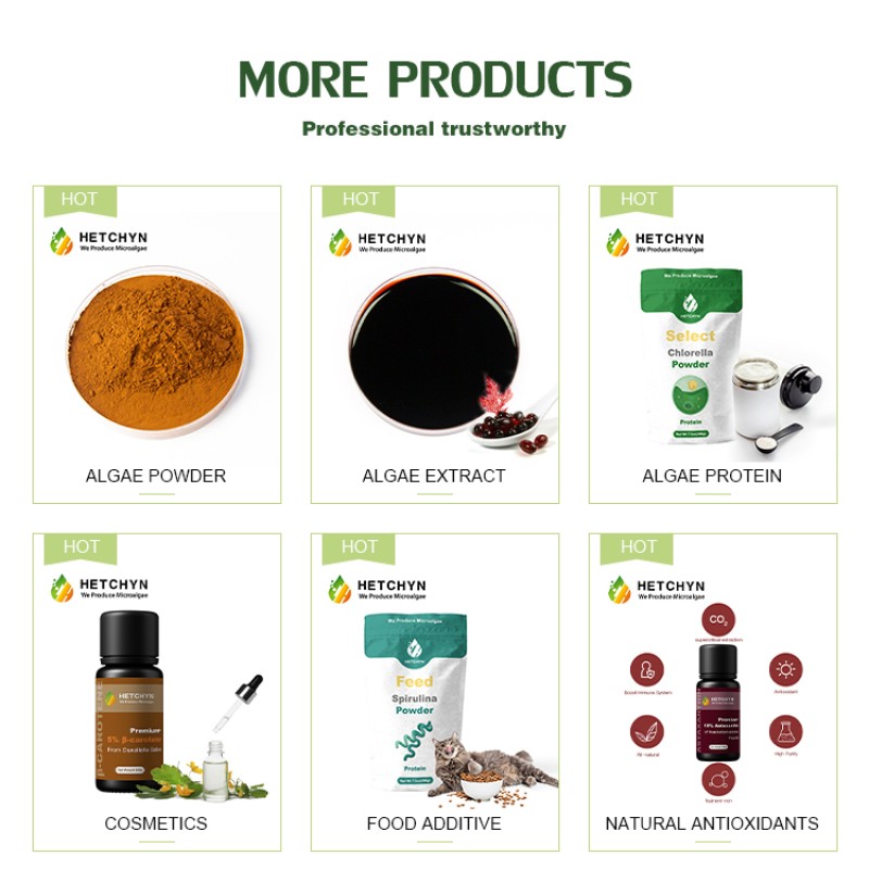 Chlorella Powder Supplier - Microalgae Aquatic Feed High Protein