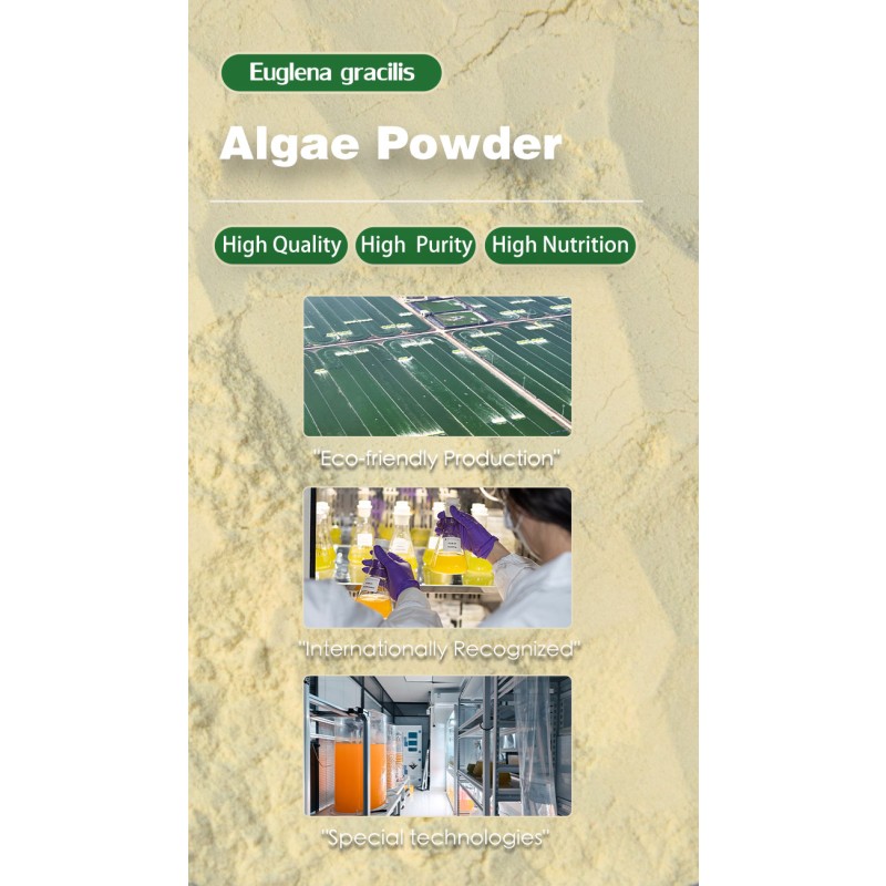 Euglena Powder Factory - Paraxanthine Nutrition Supplement 60%