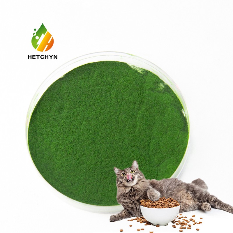 Chlorella Protein Powder Manufacturer - Sustainable Plant-Based Nutrition